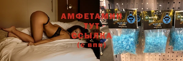 прущие грибы Баксан