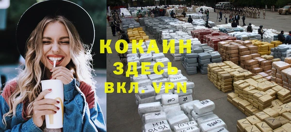 прущие грибы Баксан