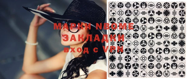 прущие грибы Баксан