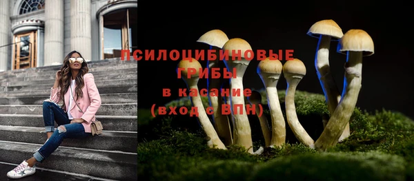 эйфоретик Балахна