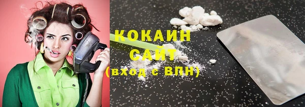 прущие грибы Баксан